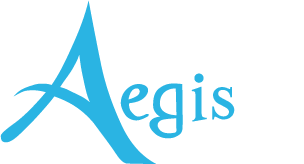 Payroll Processing, HR and Recruitment Tools - Aegis Hawaii